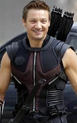 The Avengers Hawkeye vest