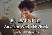 Amazon Services Online Training in Uk