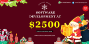 Custom Software Development for Startups –Web3, DeFi & AI | Xmas Offer